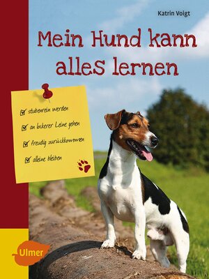 cover image of Mein Hund kann alles lernen